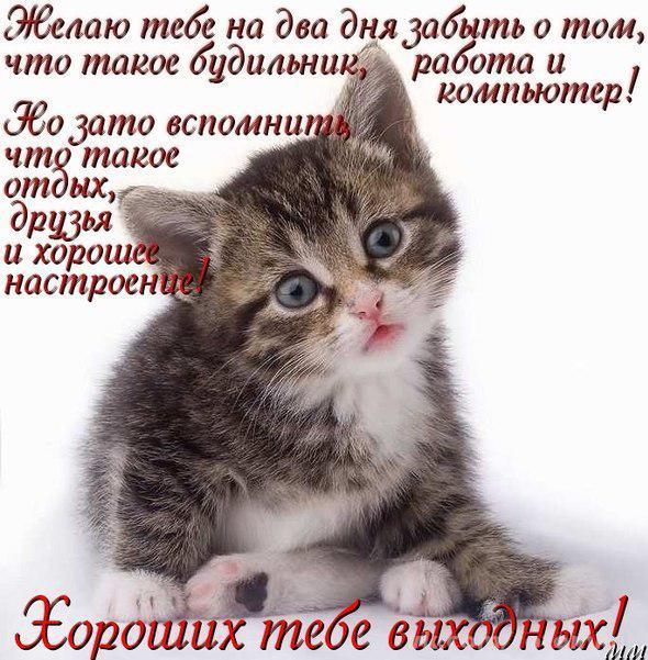 3768849_vihodn______1_ (590x601, 80Kb)