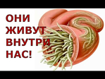 Превью KgpeEpK0pec (480x360, 98Kb)