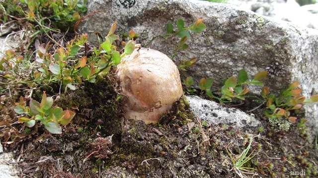 IMG_3573 a (640x360, 339Kb)