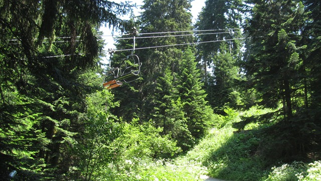 IMG_3619 a (640x360, 378Kb)