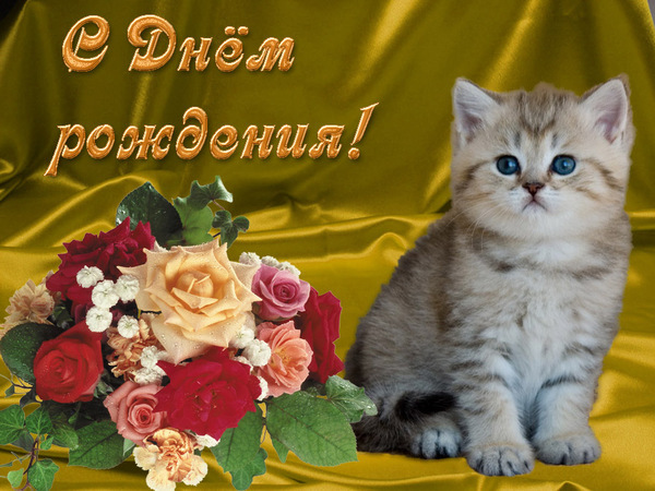 Открытки с днём рождения маме от дочки с котиками Открытки с днём рождения маме от дочки с котиками