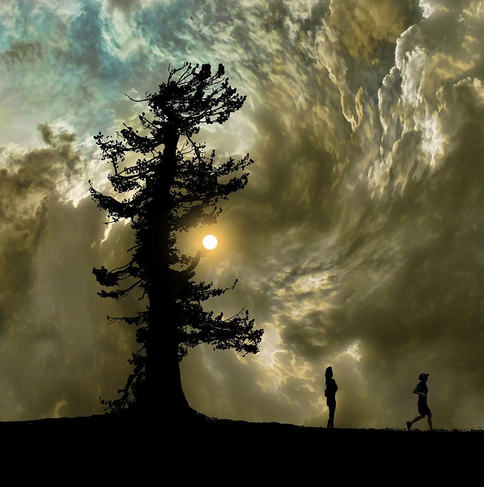 Peter Holme III Tutt'Art@ (18) (696x700, 382Kb)