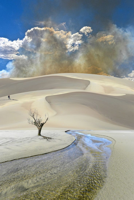 Peter Holme III Tutt'Art@ (11) (469x700, 304Kb)