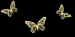 4 (150x75, 34Kb)