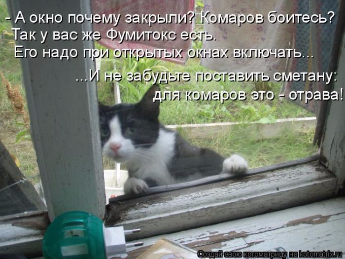1465242069_12 (700x525, 308Kb)