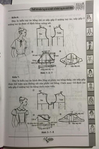  13707789_1356662211018178_3581995050470065677_n (465x700, 191Kb)