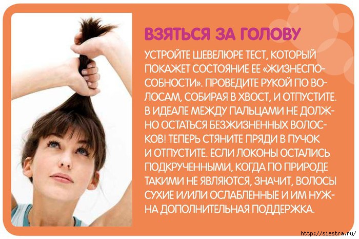 5463572_prostoi_test_dlya_volos (700x465, 199Kb)