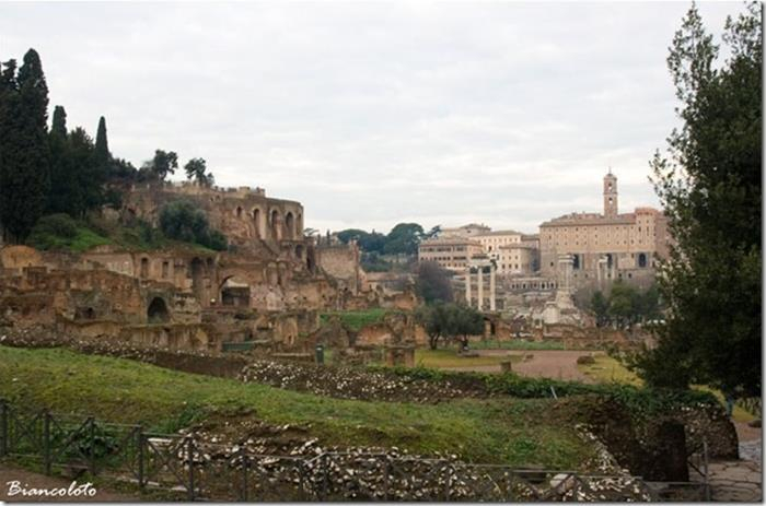 Forum_Romanum_Rom_2 (700x463, 210Kb)