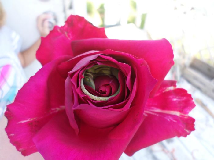 rose_01 (700x525, 37Kb)