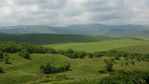 Превью 2016-07-23-3736 (700x393, 252Kb)