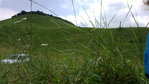 Превью 2016-07-23-3729 (700x393, 390Kb)