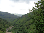 Превью DSC01721 (700x525, 404Kb)