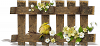 4 (200x93, 35Kb)