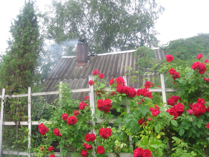 IMG_6506 (700x525, 171Kb)