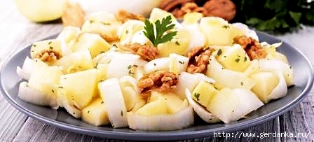 1751190_Saladeendivpommenoix (448x203, 77Kb)