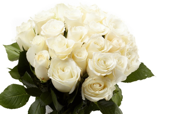 Holidays___International_Womens_Day_White_roses_in_a_bouquet_as_a_gift_on_March_8_056305_16 (700x437, 90Kb)