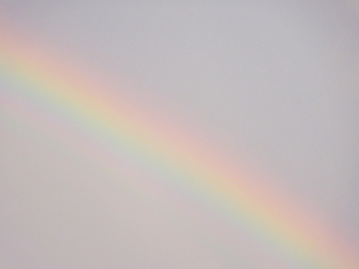 DSC05639 (700x525, 32Kb)