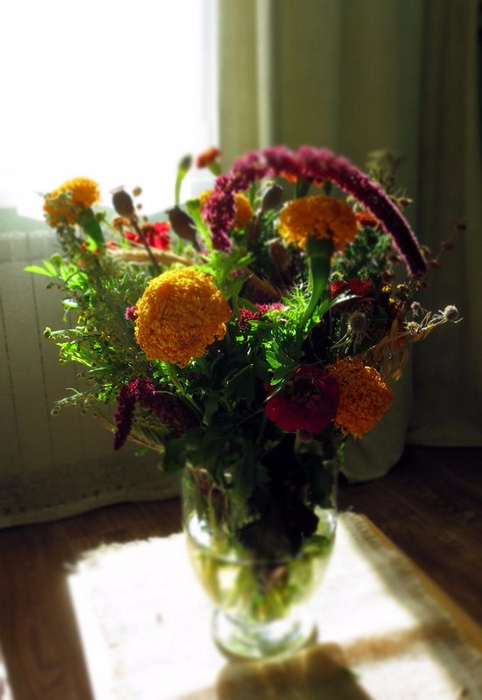 IMG_6018-1 (482x700, 272Kb)