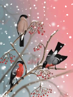 Картинки по запросу анимационная картинка зимующие птицы