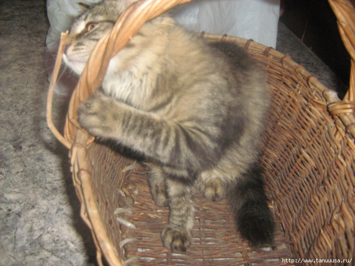 IMG_0023-min (700x525, 311Kb)