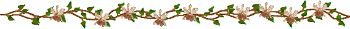 2780 (350x29, 14Kb)
