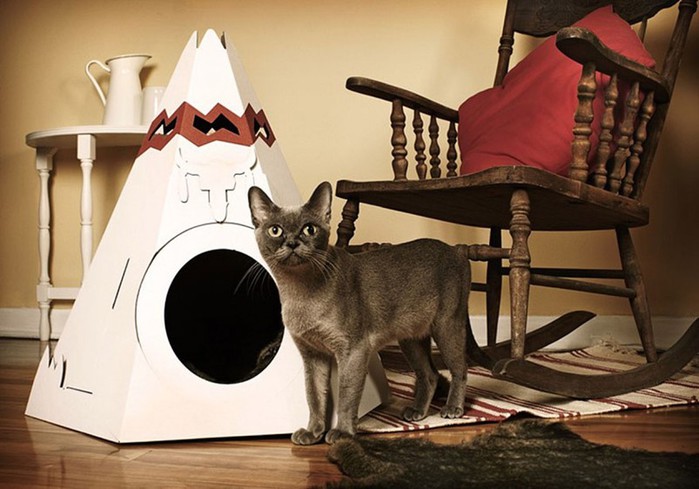 Кошкин дом! 70 свежих идей интерьера для домашних любимцев