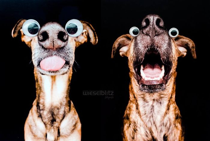 Elke Vogelsang4 (700x472, 213Kb)