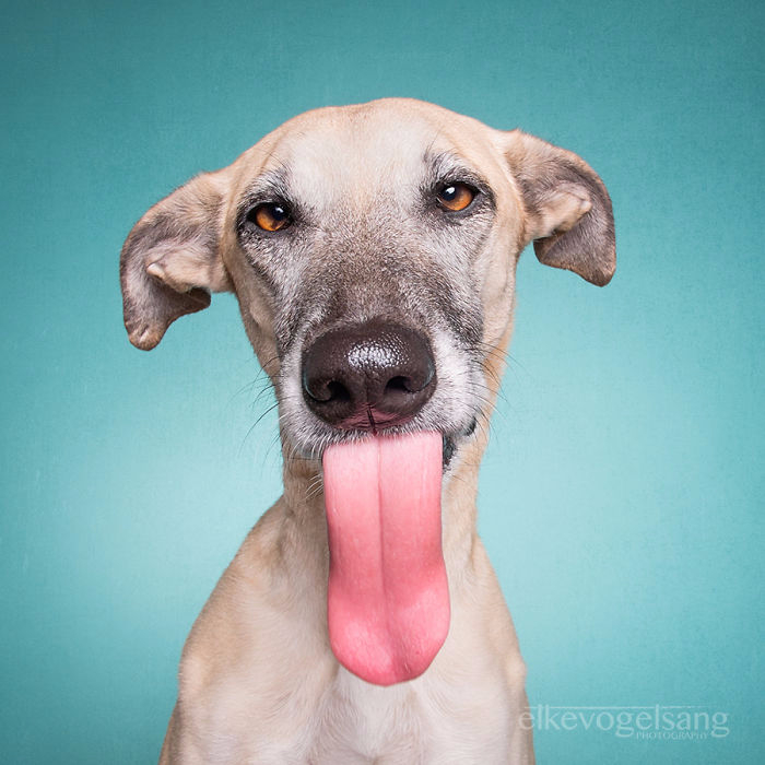 Elke Vogelsang5 (700x700, 252Kb)