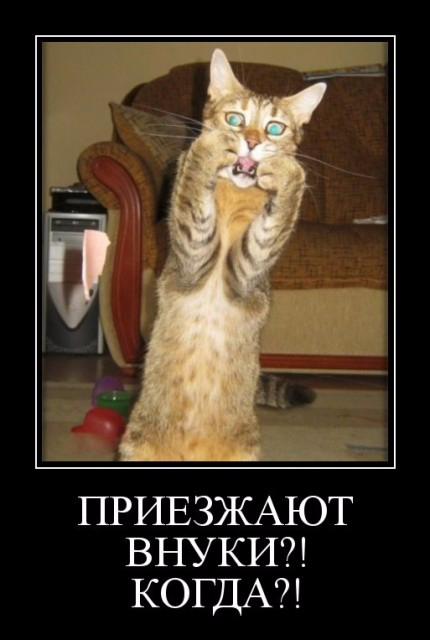 15 (430x640, 157Kb)