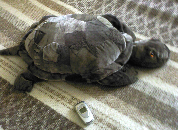 черепаха (700x512, 404Kb)