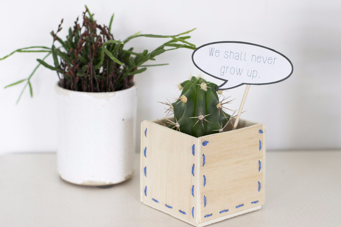 we-shall-never-grow-up-wooden-planter-diy (700x466, 207Kb)
