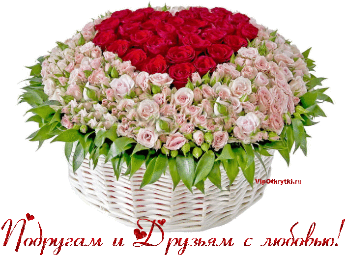 Druziam_i_podrugam_vip-otkrytki.ru_.gif.pagespeed.ce.7w_z3F5dg- (700x525, 282Kb)