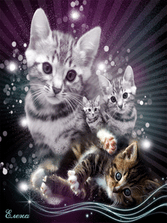 www.radionetplus.ru 9 (240x320, 194Kb)