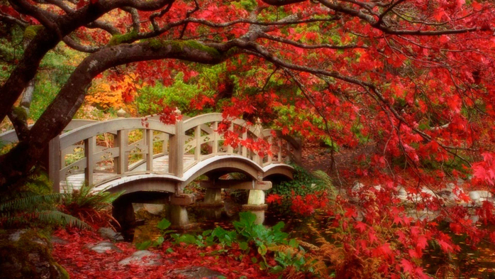 bridge and autumn 18 (700x393, 416Kb)