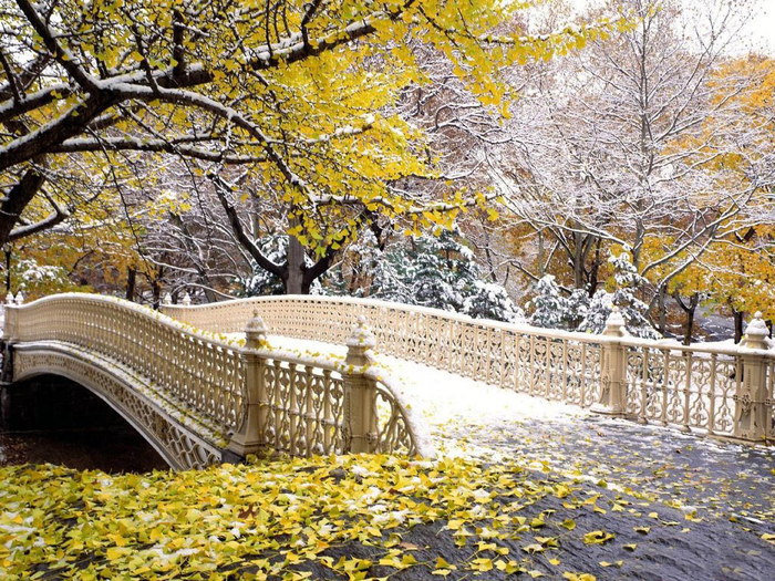 bridge and autumn 8 (700x525, 641Kb)