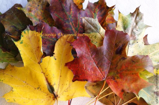 131013180353 (635x422, 270Kb)