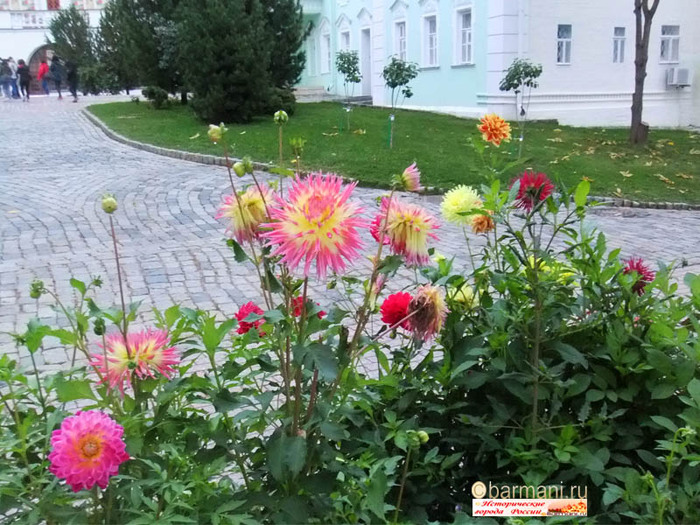 4498623_lavra_georgini_sait_Barmani_5 (700x525, 167Kb)