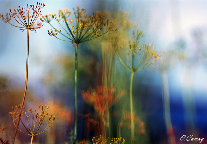 150493 (700x488, 184Kb)