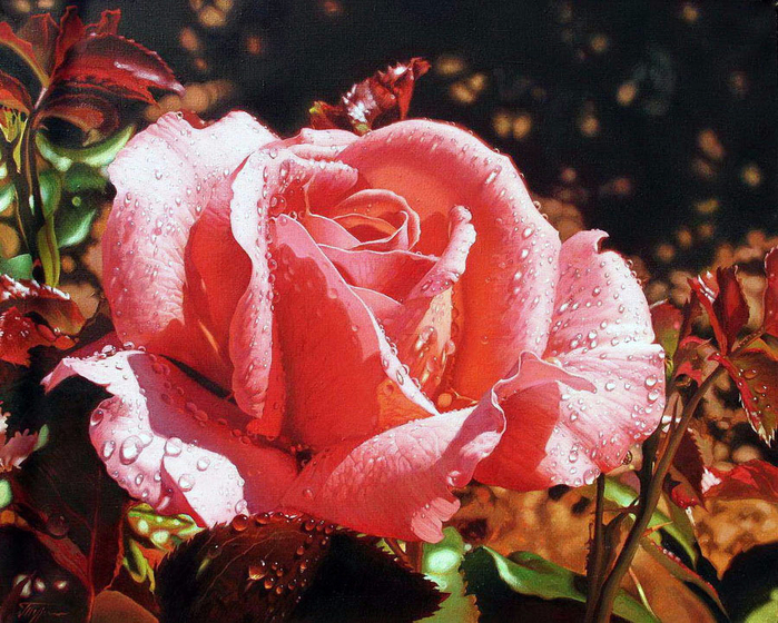 2 (700x560, 563Kb)