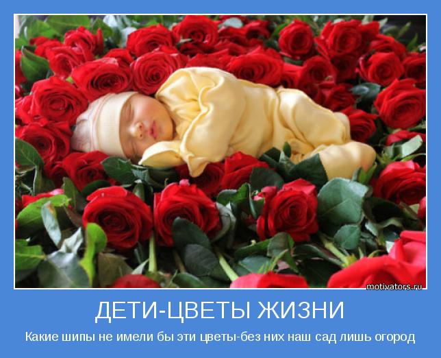 4497432_ndetki_772 (644x522, 55Kb)