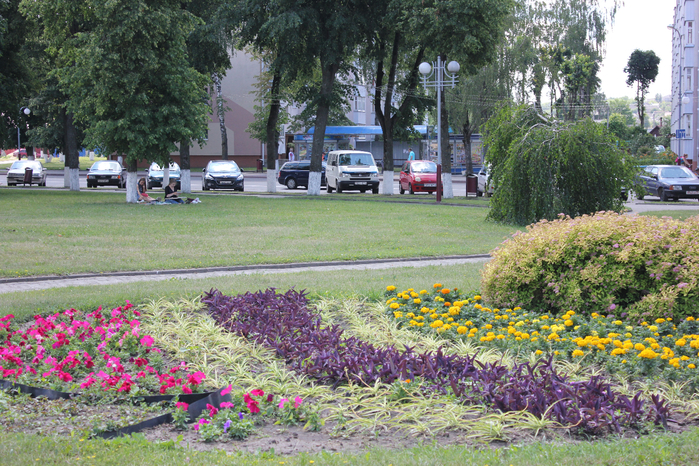IMG_1906 (700x466, 599Kb)