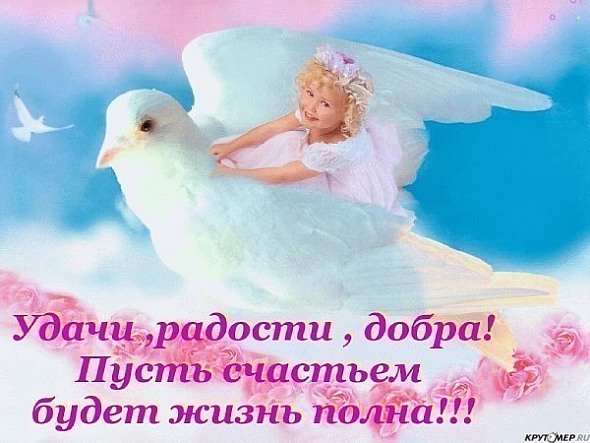 8wsX6EBVF4 (590x443, 74Kb)