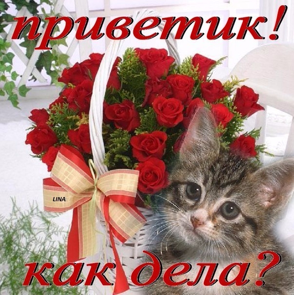 Открытка как дела любимый 50