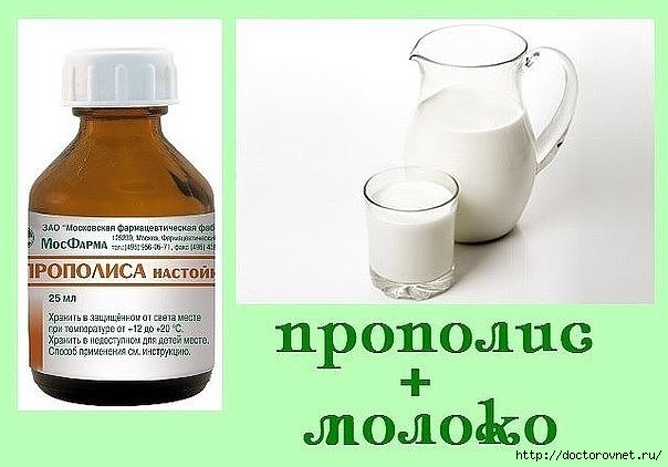 5239983_propolis_moloko (604x422, 111Kb)