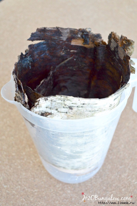 birch-bark-candle-H2OBungalow (465x700, 215Kb)