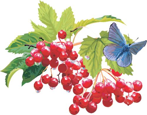 1437975321_vector-berry-collection-2-06 (500x391, 273Kb)