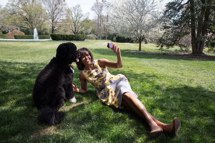 Первые собаки США: домашние любимцы американских президентов от Гардинга до Обамы