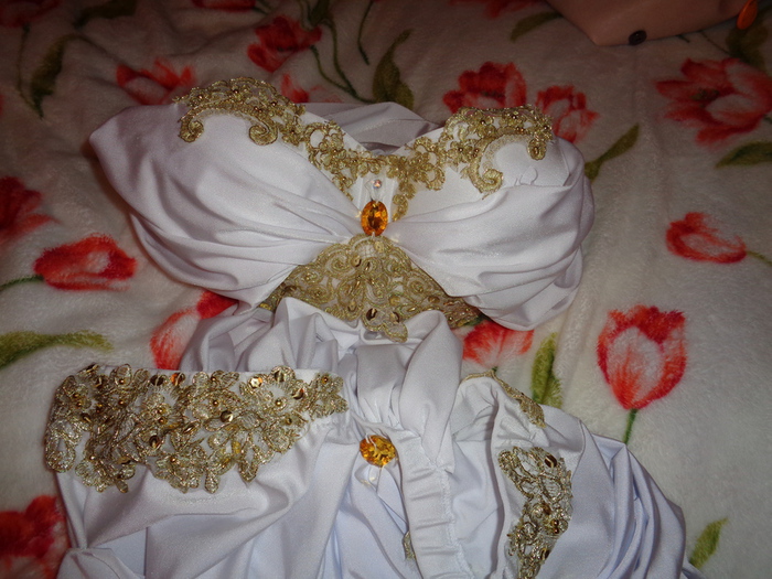 DSC02359 (700x525, 199Kb)