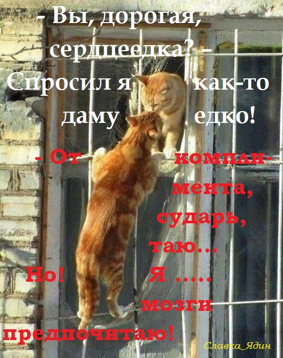13-02 (552x699, 463Kb)