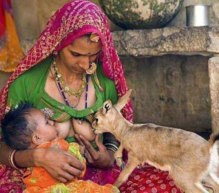 Фотофакт: Женщины кормят грудью детёнышей животных (фото, видео)